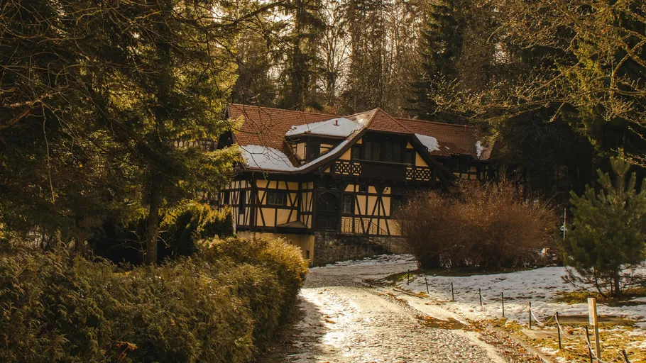 Timber house surrounded by snowy forest path.
