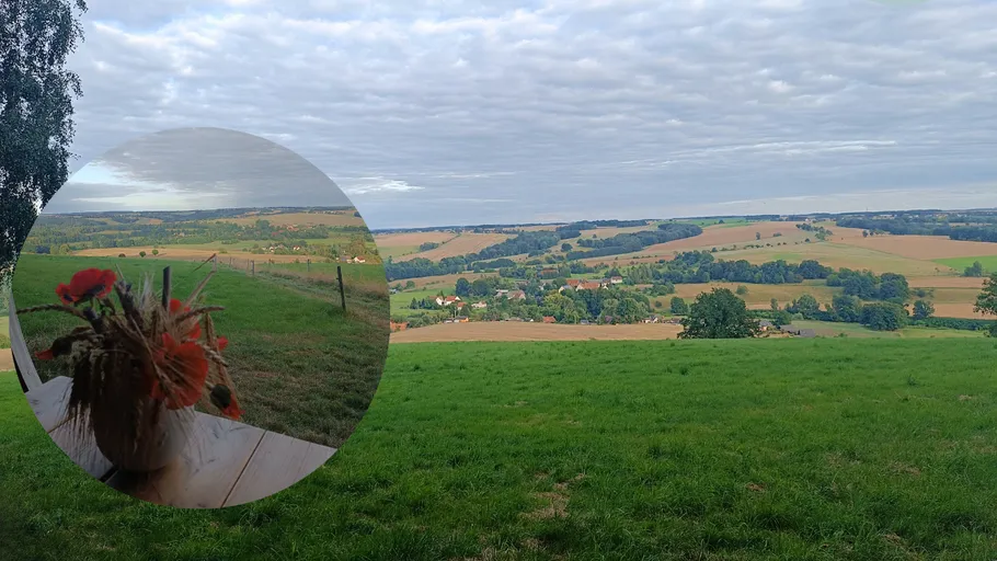 Vase with flowers on table overlooking fields.