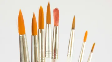 Paintbrushes with orange bristles on white background.