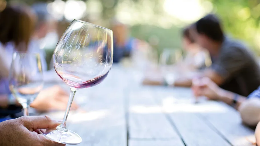 Wine glass held at outdoor gathering table.