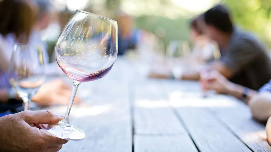 Person holds wine glass outdoors gathering.