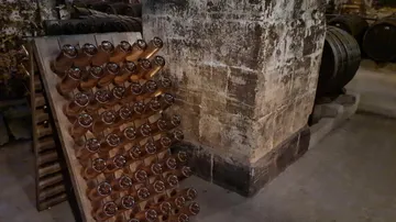 Wine bottles aging in a cellar.