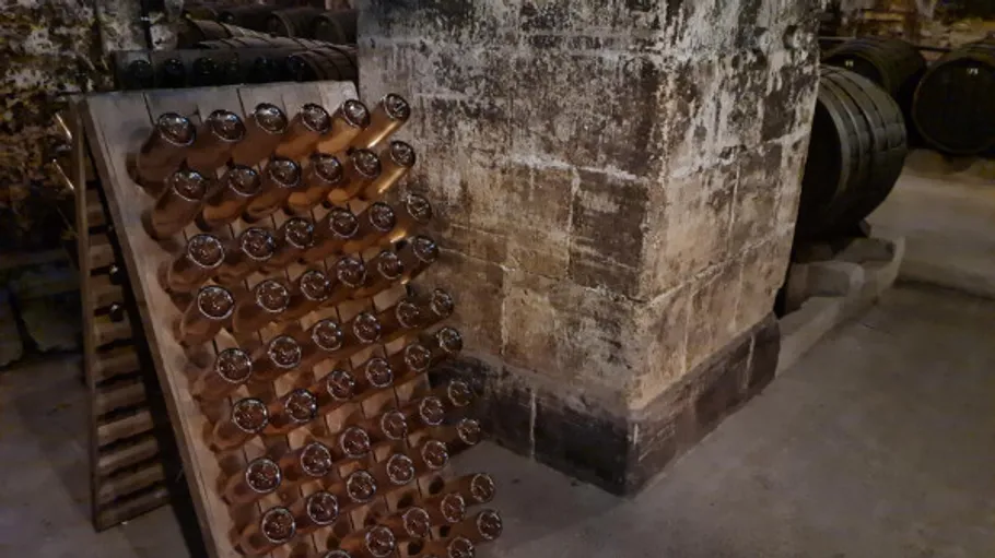 Wine bottles aging in a cellar.