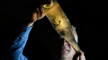 Hand holding an illuminated champagne bottle.