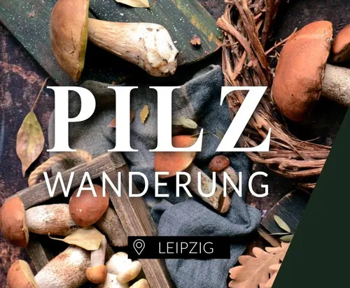 Pilze und Blätter auf Stoff arrangiert, Text darüber.