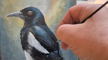 Hand painting a magpie on canvas.