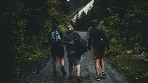 Three people walking on a forest path.