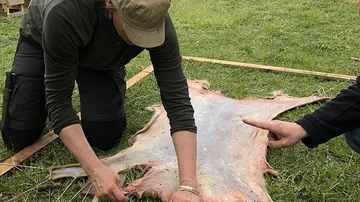 Person kniet, arbeitet an Tierhaut draußen.