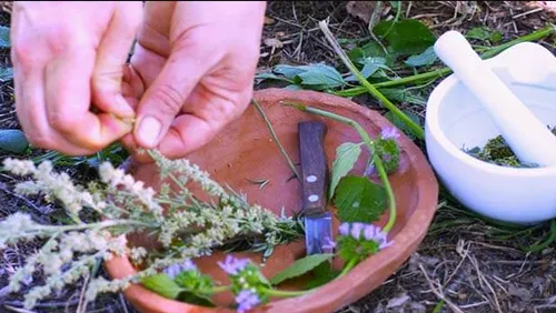 Hands preparing herbs in a garden setting.