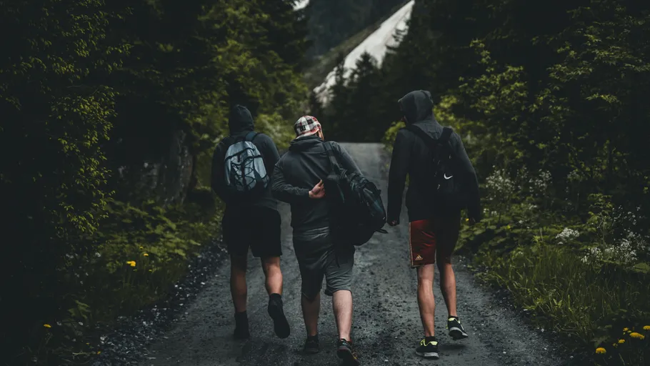 Three people walking on a forest path.