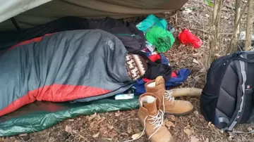 Person schläft im Schlafsack im Wald draußen.