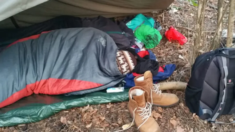 Person sleeping in sleeping bag outdoors forest.