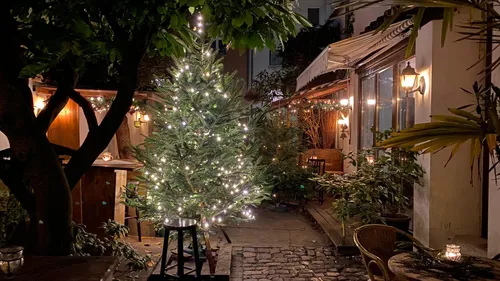 Lit Christmas tree in cozy outdoor courtyard.