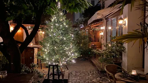 Beleuchteter Weihnachtsbaum in gemütlichem Innenhof.