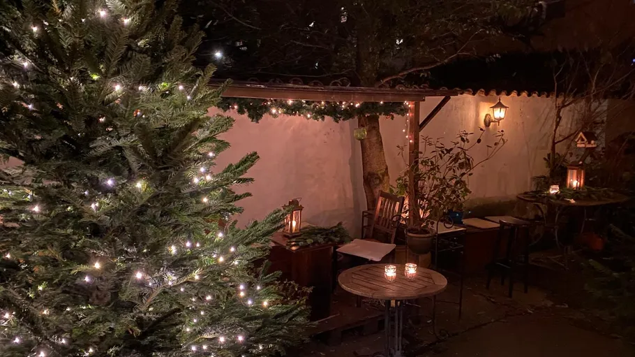 Weihnachtsbaum beleuchtet einen Außenbereich.