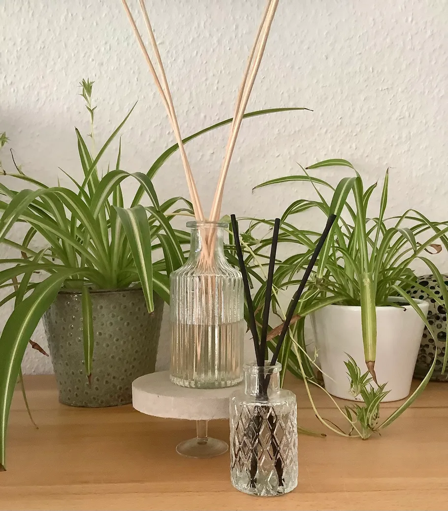 Spider plants and diffusers on a wooden table.