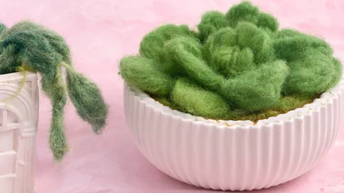 Felt plants in decorative white pots on pink background.