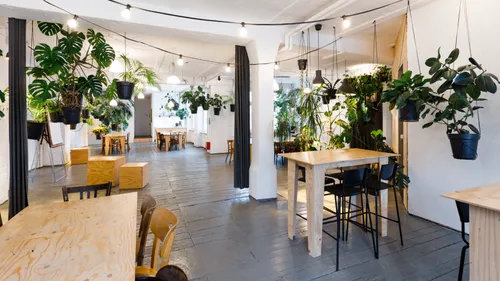 Indoor cafe with hanging plants and wooden furniture.