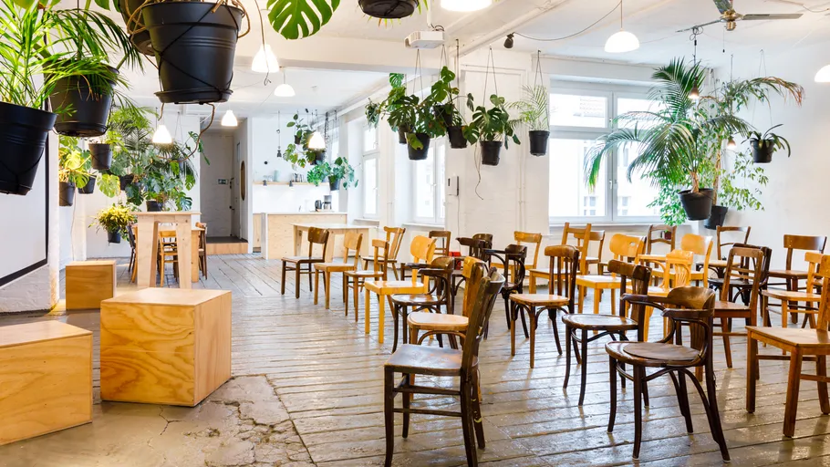 Room with wooden chairs, hanging plants.