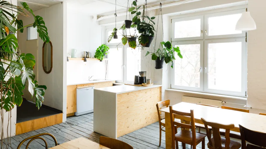 Plants hanging in a bright modern kitchen.