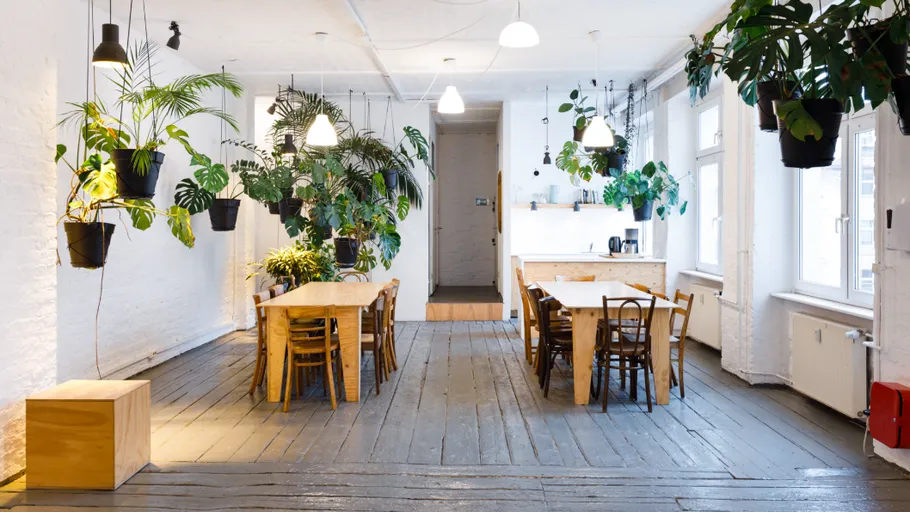 Spacious room with tables and hanging plants.