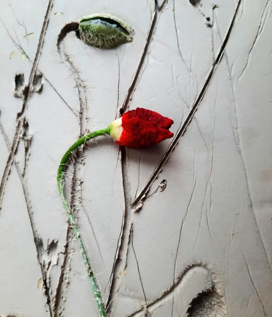 Red flower emerging from concrete crack.