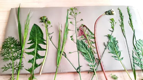 Various leaves pressed onto clay slab.