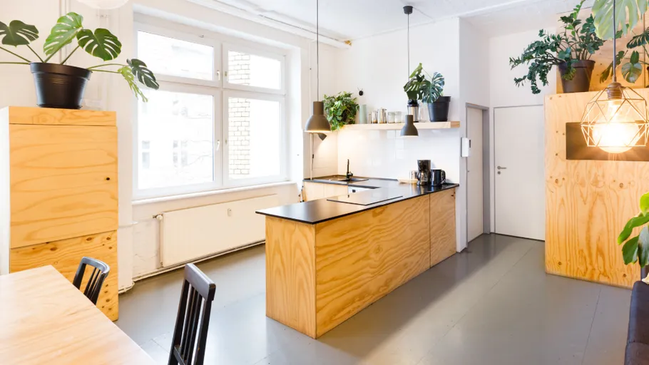 Modern kitchen with wooden cabinets and plants.