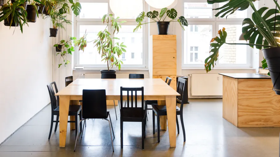 Wooden table with black chairs, surrounded by plants.