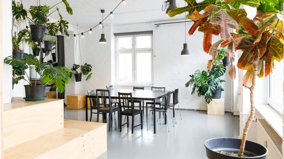 Bright room with plants and table.