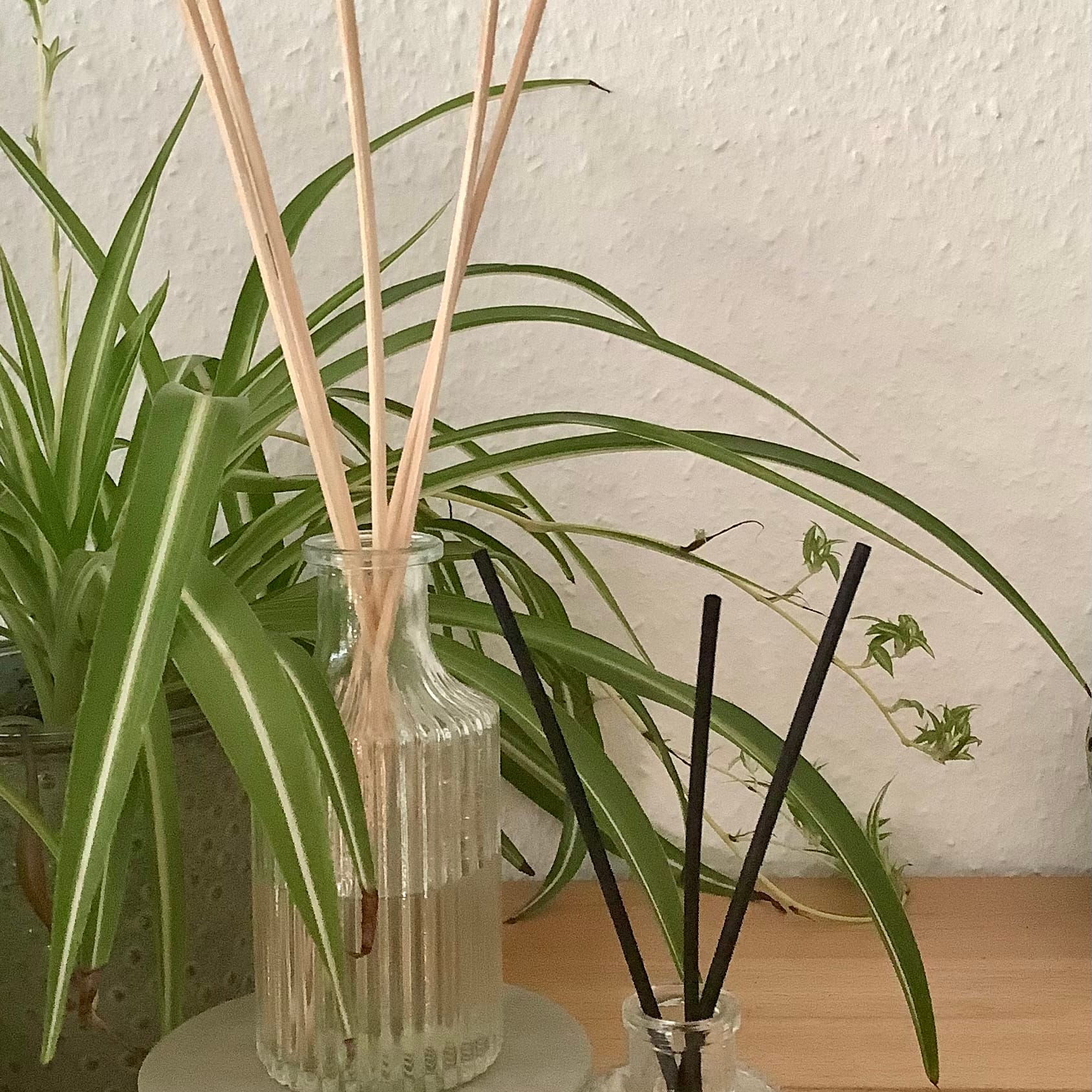 Aroma-Vase kreieren und Duftsteine formen in Leipzig