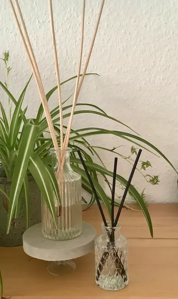 Raumdüfte auf Holzregal mit Pflanzen.