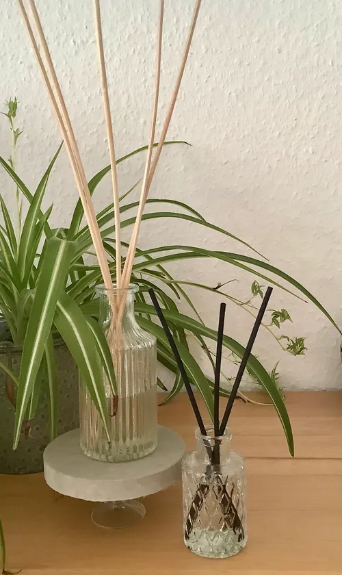 Reed diffusers on wooden shelf with plants.