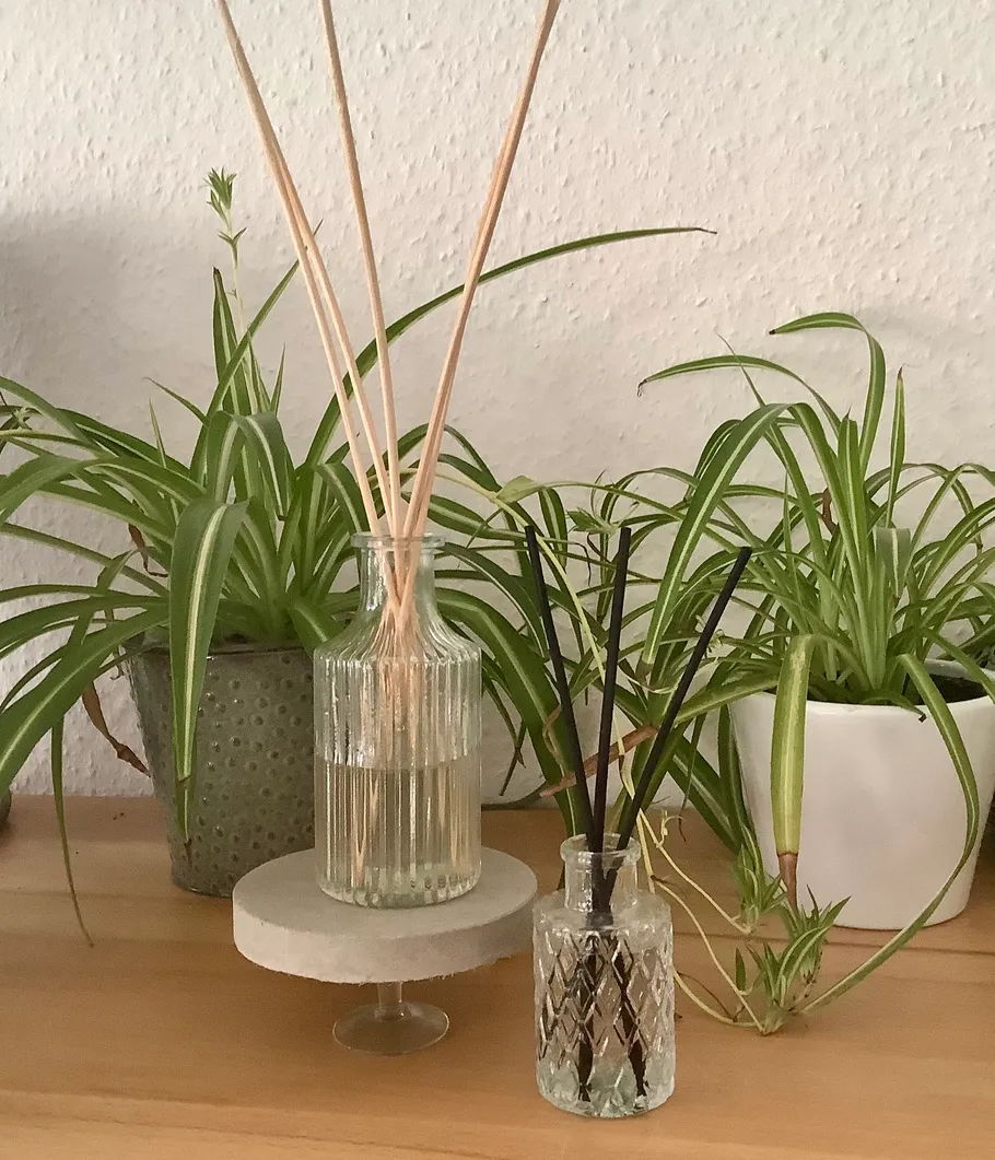 Raumdüfte und Pflanzen auf Holzoberfläche.