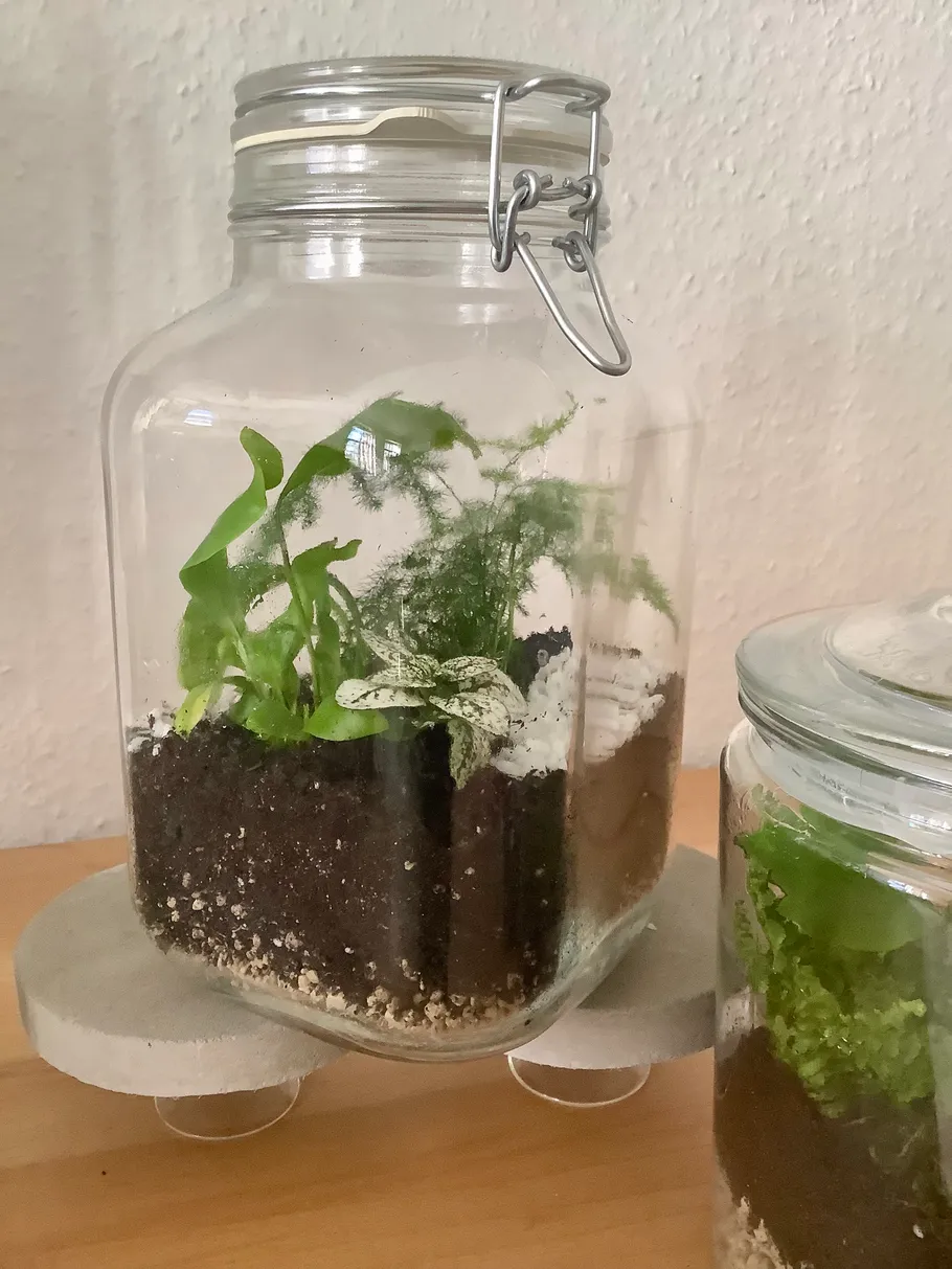Terrarium in a glass jar on a table.