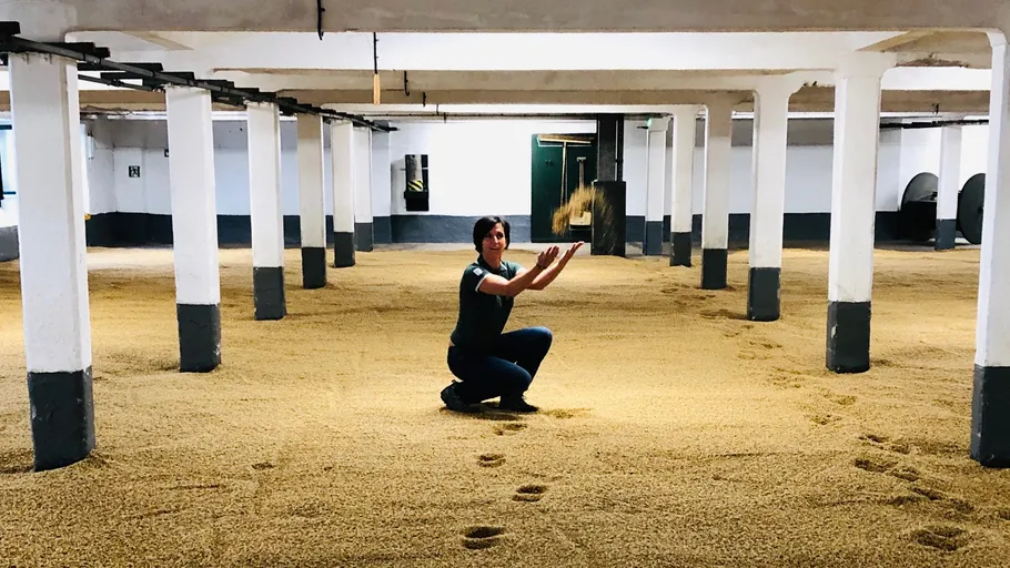 Person kneeling in grain-covered room, tossing grains.