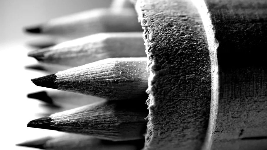 Sharpened pencils grouped in a container.