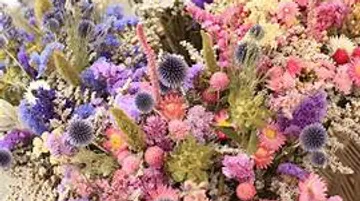 Bunte Trockenblumen dicht arrangiert.