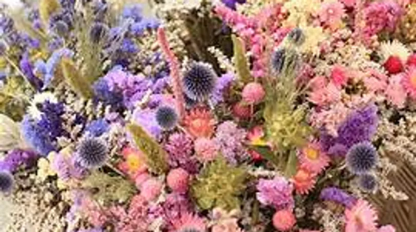 Colorful dried flowers arranged closely together.