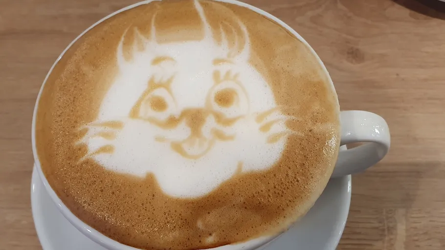 Katzen-Gesicht Latte Art in Kaffeetasse.