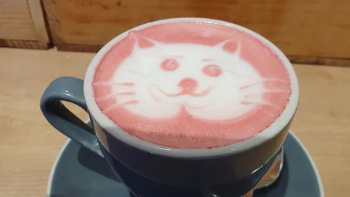 Rote Katzen-Latte-Kunst in einer Tasse.
