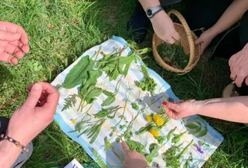 People identifying plants on a cloth outdoors.