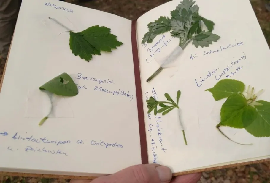 Notizbuch mit gepressten Blättern und handschriftlichen Notizen.