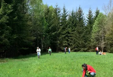 People walking in a forested meadow.