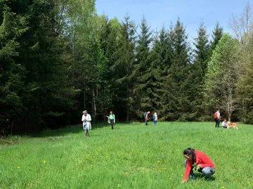 People walking and gathering in a grassy forest glade.