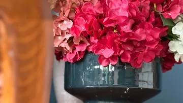 Rosa Hortensien in einer blauen Vase.