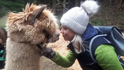 Woman and alpaca touching noses in forest.