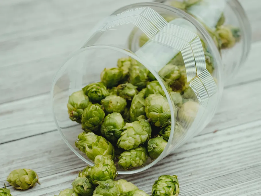 Hops in a glass are lying on a table.