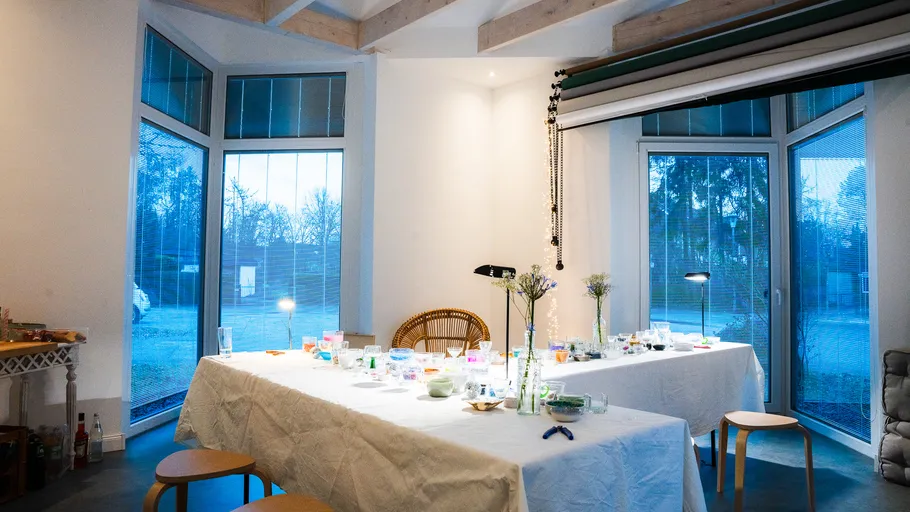 Dining table with plants in modern room.