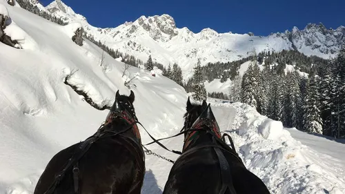 Zwei Pferde ziehen Schlitten durch verschneite Berglandschaft.